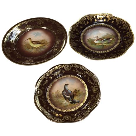 3 Royal Vienna Game Bird Plates