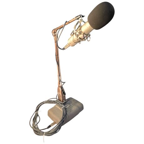 Red Robinsons Early Apex 460 Multi Pattern Tube Condenser Microphone, On Stand