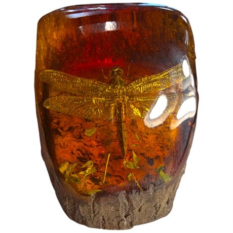 Amber Resin Encased Dragonfly