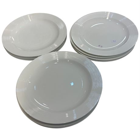 Approx 14 Solar Large Plates