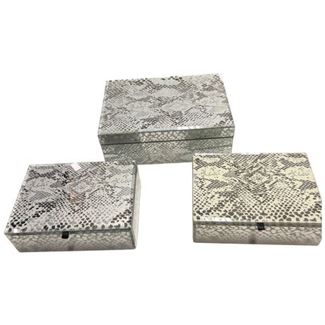 3 Snake Skin Jewelry Boxes