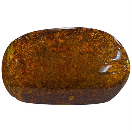 Large Amber Resin Chunk With Scorpion & Roots