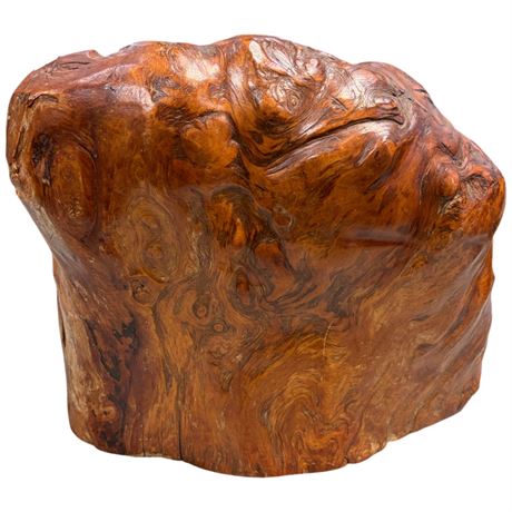 Large Piece Of Burl Wood