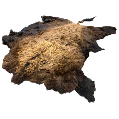 Very Large Freshly Tanned Buffalo Rug Excellent Condition